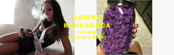 ПСИЛОЦИБИНОВЫЕ ГРИБЫ Алексеевка