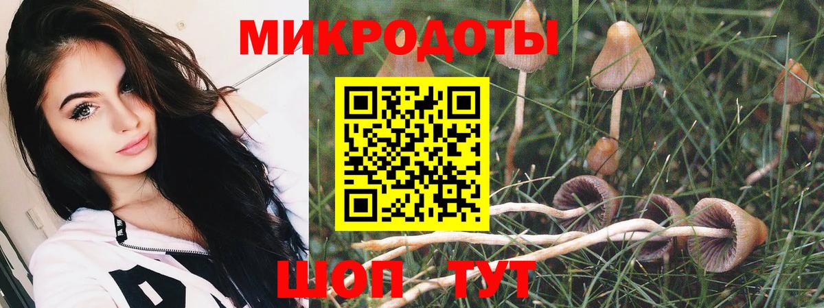 Галлюциногенные грибы Cubensis  Вход с VPN  Зерноград  Галлюциногенные грибы ЛСД 