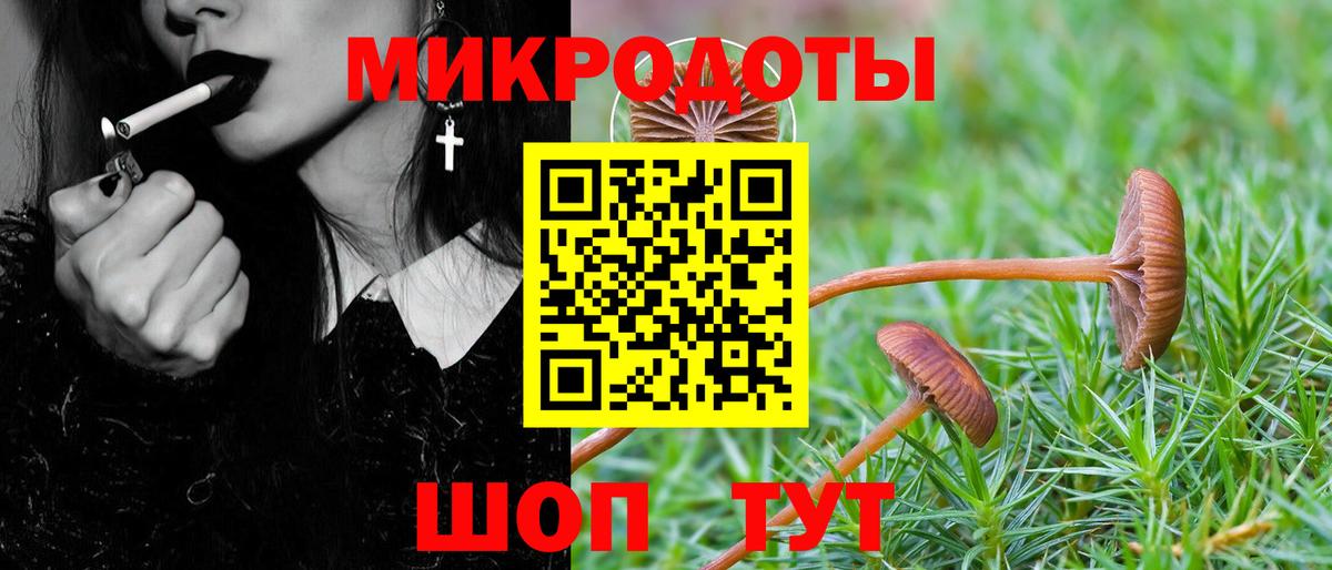 Галлюциногенные грибы мухоморы Зерноград